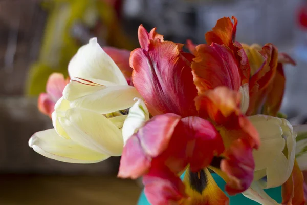 Vazoda lale buketi. yakın çekim