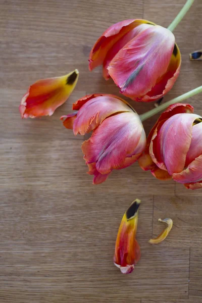 Tahta bir masada kırmızı lale buketi. Bahar çiçekleri. Bahar arka planı.