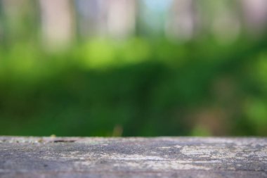 Doğal eko görüntüleme ormanı geçmişi.