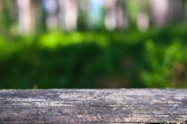 Doğal eko görüntüleme ormanı geçmişi.