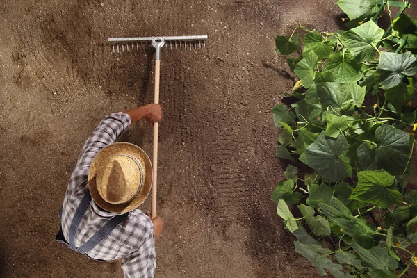 Man Boer Werken Met Hark Moestuin Harken Van Bodem Buurt — Stockfoto