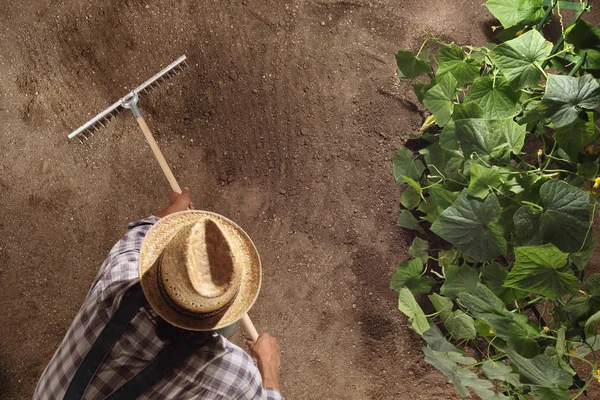 Hombre Agricultor Que Trabaja Con Rastrillo Huerto Rastrillar Suelo Cerca — Foto de Stock