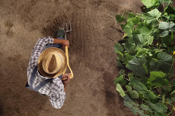 Homem Agricultor Que Trabalha Com Forquilha Horta Cavar Solo Perto — Fotografia de Stock