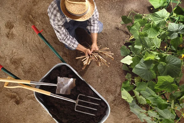Homem Agricultor Que Trabalha Horta Carrinho Mão Cheio Fertilizante Com — Fotografia de Stock