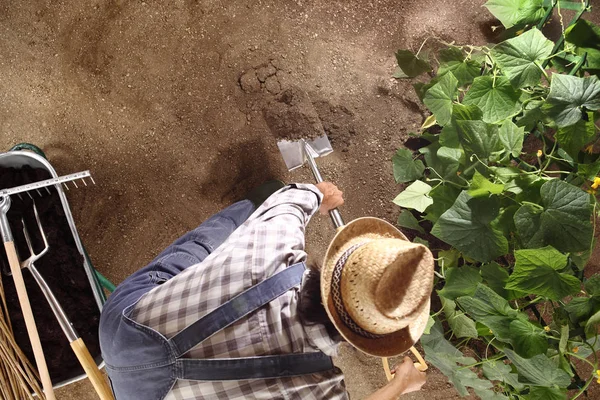 Man Boer Werken Met Spade Moestuin Breken Verplaatsen Van Bodem — Stockfoto