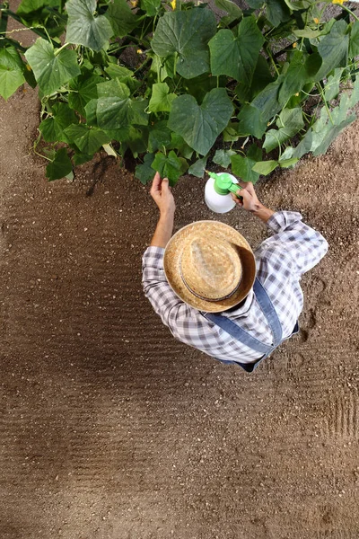 Man Boer Werken Moestuin Bestrijdingsmiddelen Sprays Voor Planten Bovenaanzicht Ruimte — Stockfoto