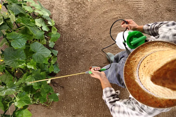 Man Boer Werken Moestuin Bestrijdingsmiddelen Sprays Voor Planten Bovenaanzicht Ruimte — Stockfoto