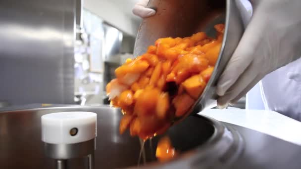 Jam Productie Met Gebak Mixer Waterkoker Industriële Machine Koken Voedsel — Stockvideo