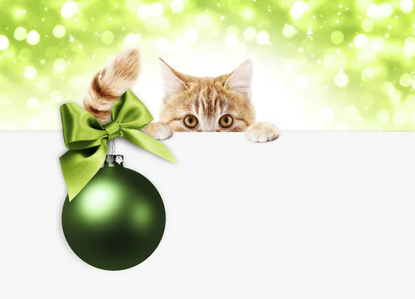 Tarjeta Regalo Ginger Cat Navidad Con Bola Verde Lazo Cinta — Foto de Stock