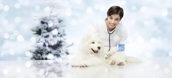 God Jul Från Veterinär Veterinärklinik Med Veterinär Och Hund Husdjur — Stockfoto