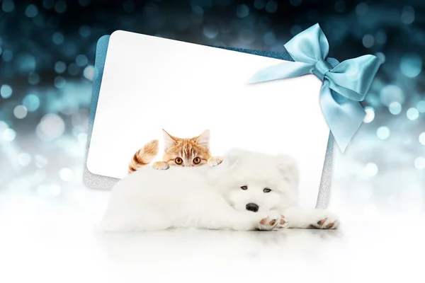 Letrero Navidad Feliz Tarjeta Regalo Para Tienda Mascotas Clínica Veterinaria — Foto de Stock