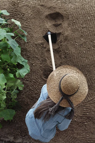 Agricultora Que Trabaja Con Azada Huerta Azotando Suelo Cerca Una — Foto de Stock