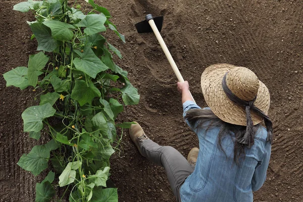 Agricultor Mulher Que Trabalha Com Enxada Horta Enxada Solo Perto — Fotografia de Stock