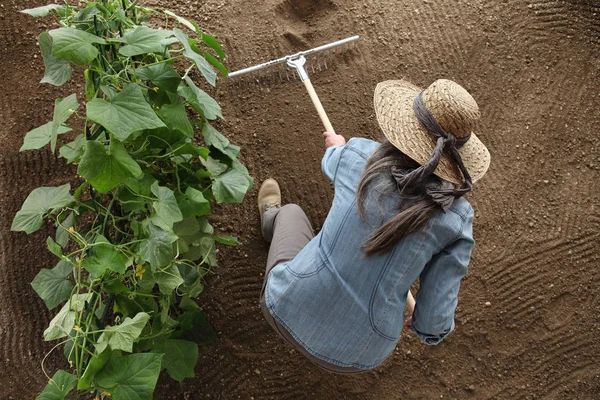 Vrouw Boer Werken Met Hark Moestuin Harken Van Bodem Buurt — Stockfoto