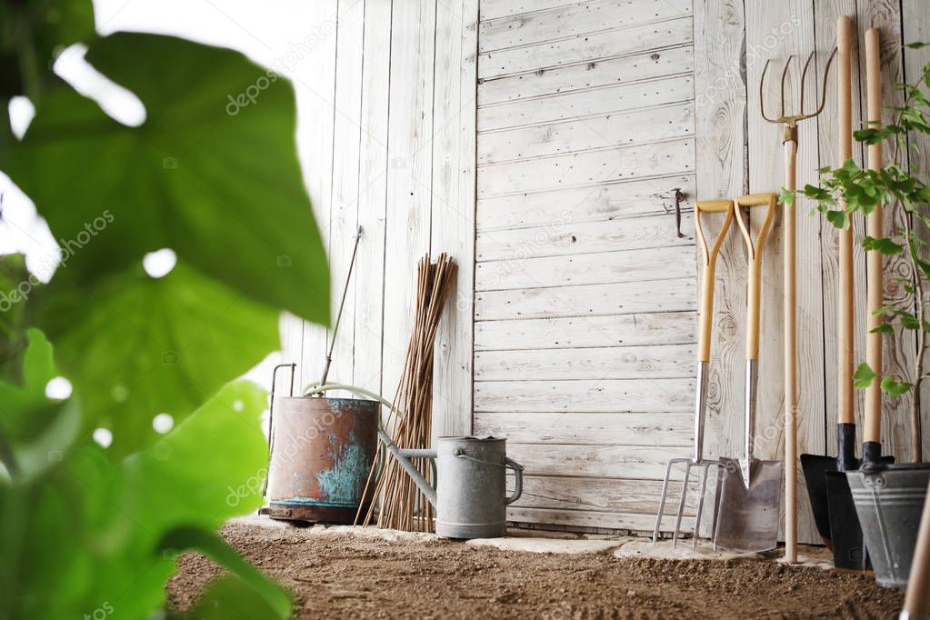 gardening tools on wooden white wall, equipment for vegetable garden , copy space background 