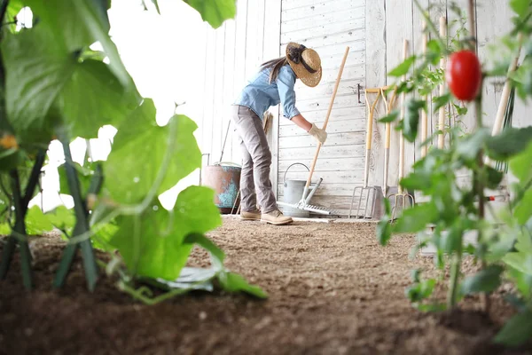 Vrouw Moestuin Met Rake Van Houten Muur Voor Tools Gezonde — Stockfoto