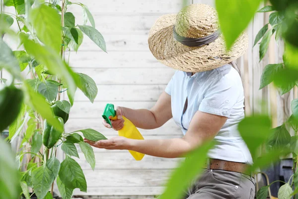 Vrouw Moestuin Spuit Bestrijdingsmiddelen Bladeren Van Plant Verzorging Van Planten — Stockfoto