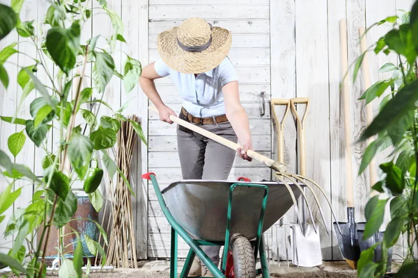 木製の壁の背景 健康的な有機食品生産コンセプトに用具一式手押し車とフォーク 菜園での女性の仕事 — ストック写真