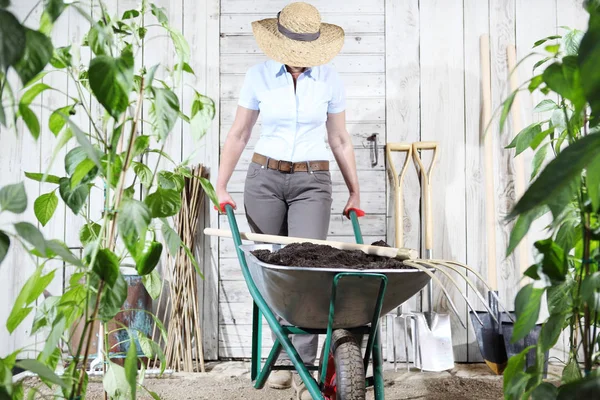 Vrouw Werk Moestuin Met Kruiwagen Pitchfork Instellen Voor Apparatuur Tools — Stockfoto