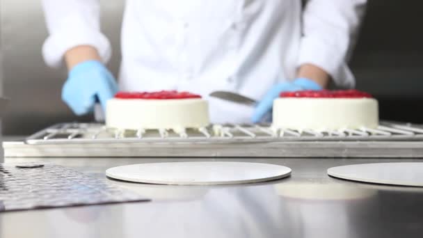 Σεφ Ζαχαροπλαστικής Χέρια Ετοιμάζει Ένα Κέικ Καλύψτε Άχνη Και Γαρνίρουμε — Αρχείο Βίντεο
