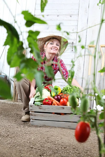Wanita Tersenyum Kebun Sayuran Dengan Kotak Kayu Penuh Sayuran — Stok Foto