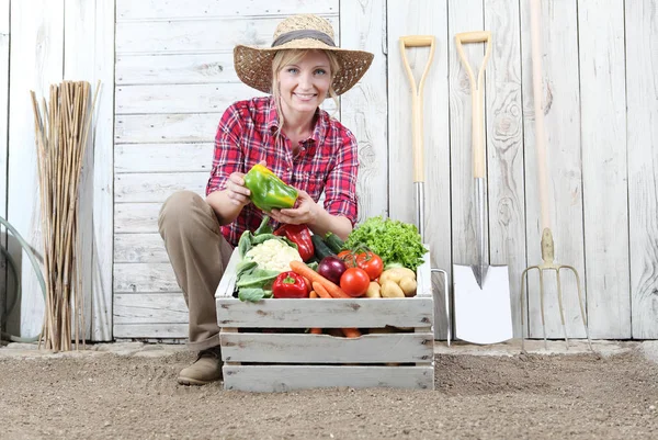 Wanita Tersenyum Kebun Sayuran Dengan Kotak Kayu Penuh Sayuran Dinding — Stok Foto