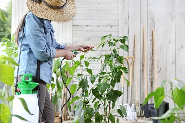 Woman Vegetable Garden Spray Pesticide Leaves Plant Care Plants Growth — Stock Fotó