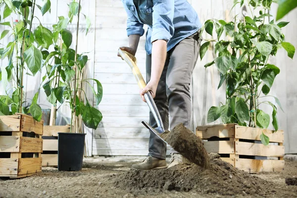 Vrouw Plant Werken Moestuin Door Het Graven Van Voorjaar Bodem — Stockfoto