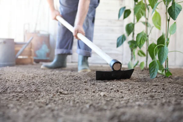 Man Werken Moestuin Schoffel Grond Buurt Van Groene Planten Close — Stockfoto