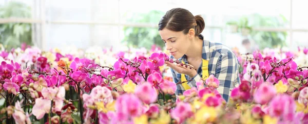 Mulher cheira as flores no jardim, fragrância de orquídeas — Fotografia de Stock