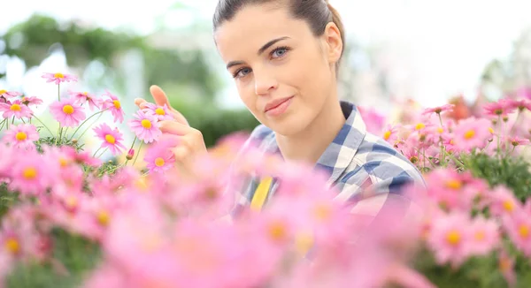 春天的概念, 微笑的妇女在雏菊花的花园 — 图库照片