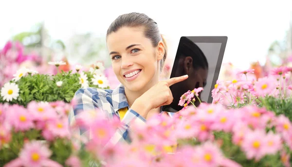 Smiling woman in garden of flowers daisies touch screen of digit — Stock Photo, Image