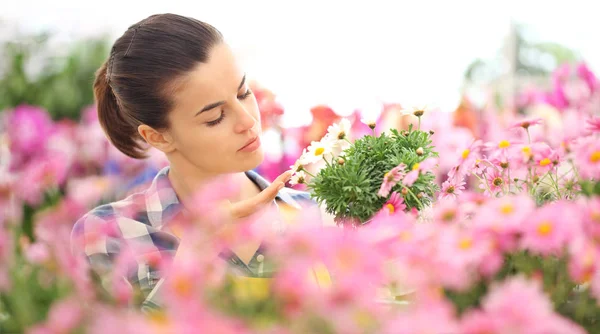 Mulher no jardim de flores margaridas toque margarida, conceito de primavera — Fotografia de Stock