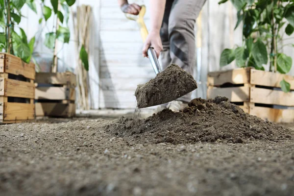 Vrouw plant werken in de moestuin, door het graven van de bodem van het voorjaar — Stockfoto