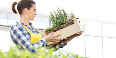 ahşap kutu dolusu baharat otlar üzerinde beyaz backg ile gülümseyen kadın