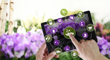 Bahçe Ekipmanları e-ticaret kavramı, basamak online alışveriş