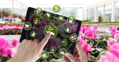 Bahçe Ekipmanları e-ticaret kavramı, basamak online alışveriş