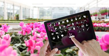 Bahçe Ekipmanları e-ticaret kavramı, basamak online alışveriş