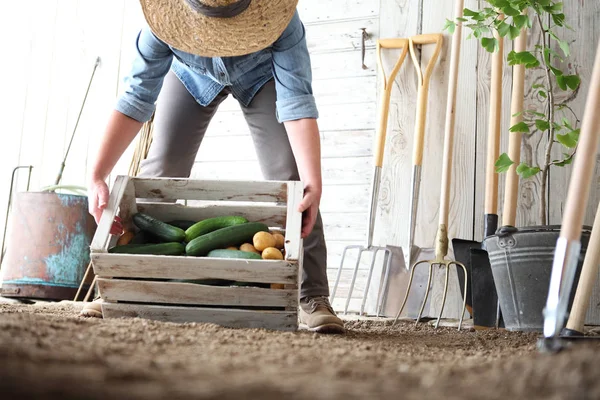 Женщина в огороде, держа деревянную коробку с сельскохозяйственными овощами — стоковое фото
