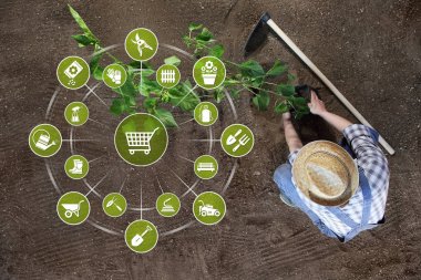 bahçe ekipmanları e-ticaret konsepti, online alışveriş bahçe t