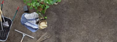 sebze bahçesinde adam bahçe iş yer bir bitki 