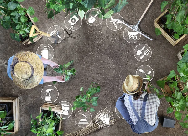 Gardening equipment icons, man and woman together work in the ve — Stock Photo, Image