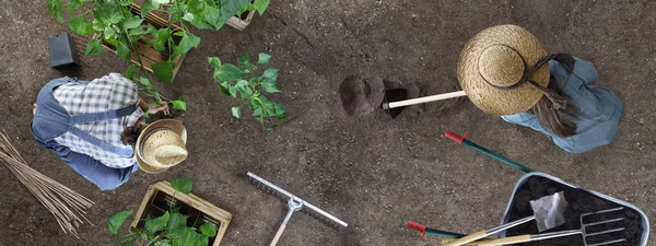 Man en vrouw samen tuinieren werk in de moestuin ma — Stockfoto