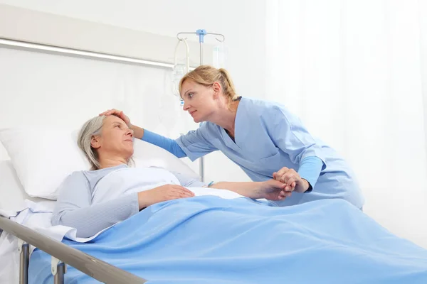 Nurse Take Comfort Elderly Woman Lying Hospital Room Bed Stroking — Stock Photo, Image