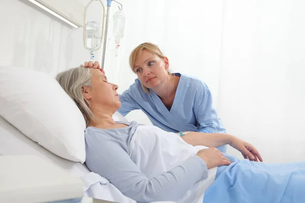 Nurse Take Comfort Elderly Woman Lying Hospital Room Bed Stroking — Stock Photo, Image