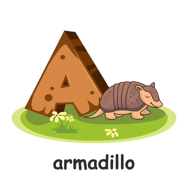 Alfabeto Legno Degli Animali Armadillo — Vettoriale Stock