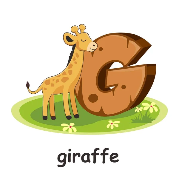 Жирафов Деревянный Алфавит — стоковый вектор