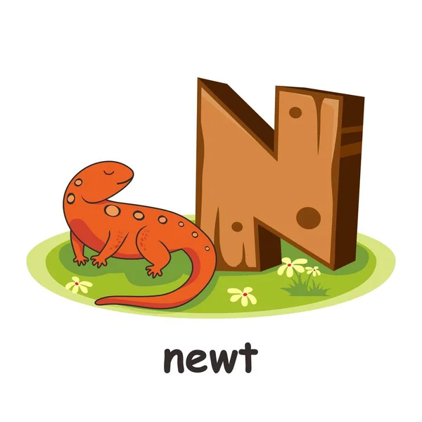 Voor Newt Animals Houten Alfabet — Stockvector