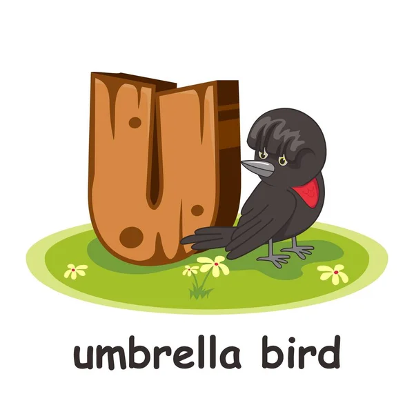 Pour Parapluie Oiseau Animaux Alphabet Bois — Image vectorielle