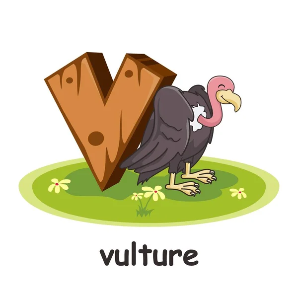 Vulture Animals木製アルファベット — ストックベクタ